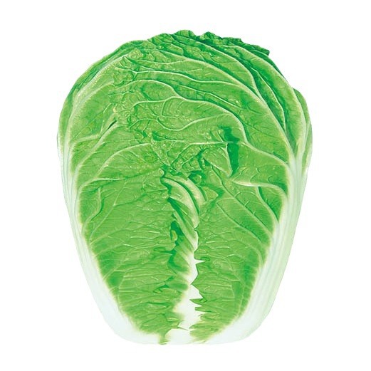 Source Manufacturer Wholesale Chinese Cabbage Seeds, Autum Baby Cabbage Seeds, Cabbage, Egg Yolk, Fire Phoenix Seeds