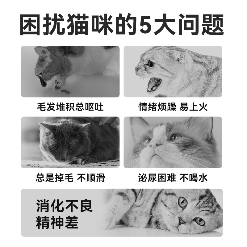 Wholesale Full-Price Cat Food Strips, Cat Chicken Breast Snacks, Wet Cat Food for Adult Cats and Kittens, Universal Cat Food, Canned Cat Food