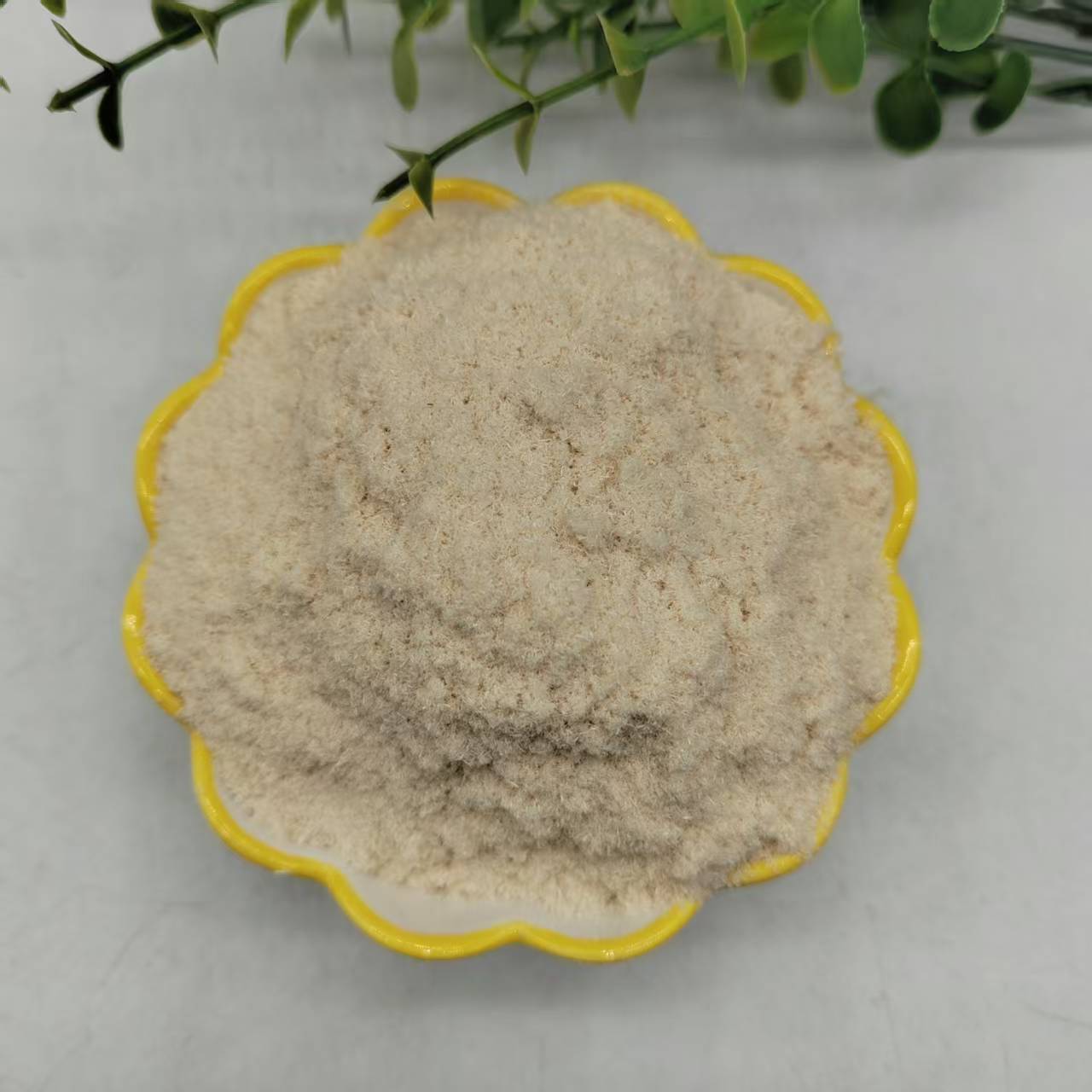 Large Supply of Wood Powder for Paper Making, Poplar Wood Powder for Incense Making, Pine Wood Powder for Repairing Furniture Cracks, Oil Field Additives