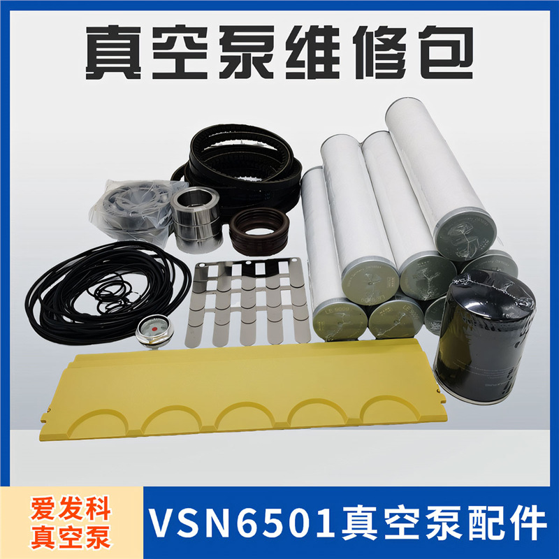 Aifa vacuum pump accessories VSN6501 maintenance kit filter blade Japan vacuum pump valve plate belt sleeve