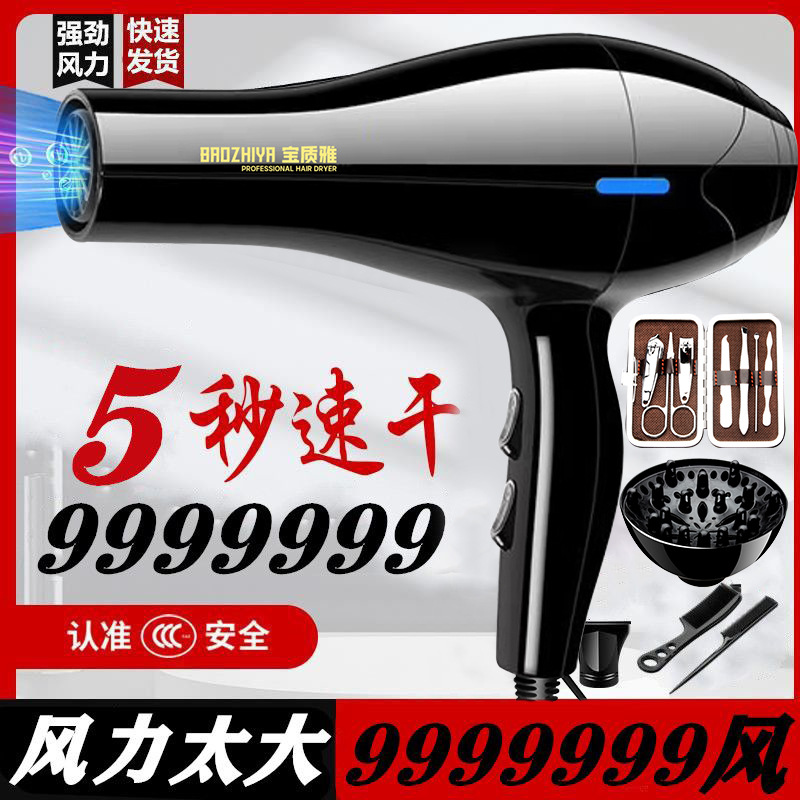 Hair Dryer Hair Salon High Power High Wind Hair Dryer Wholesale Appliances Household High Power Hair Dryer Factory Wholesale