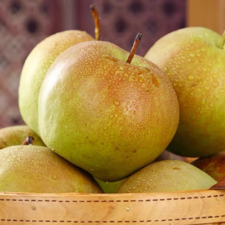 Shanxi Yulu Fragrant Pear Fruit Orchard Straight Hair 5kg Whole Box Wholesale Freshly Picked Crisp Sweet Seasonal Fruit Crisp Pears