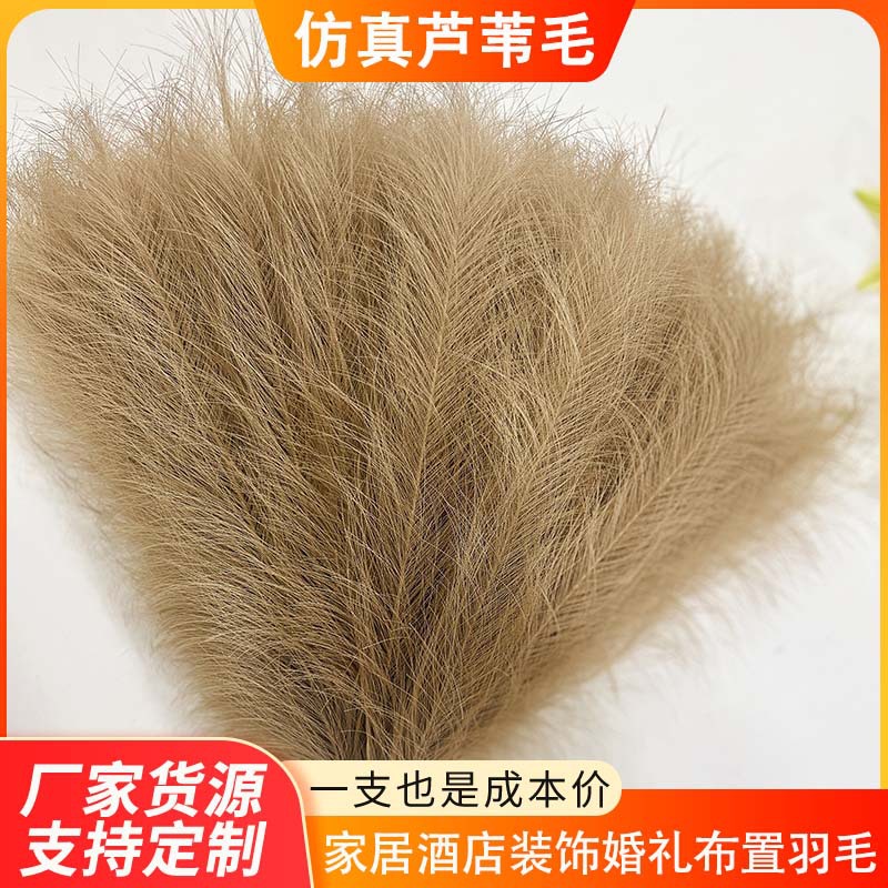 43cm Artificial Reed Feathers for Home Decoration, Single-Prong Feathers, Artificial Pampas Reed Feathers, in Stock, Factory Direct Supply for Cross-Border Trade