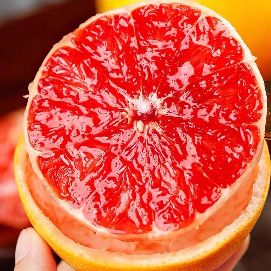 South African Grapefruit Sour and Sweet Red Meat Fruit Fresh 2 4 Pack Grapefruit Dropshipping