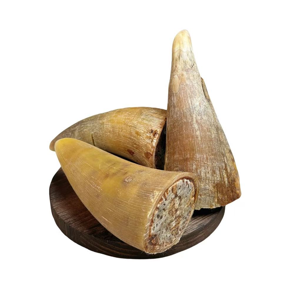 Drying and Air-Drying Pet Dog Molar Stick Real Horn Golden Retriever Teddy Small, Medium and Large Dog Molar Bone Cow Stick Bone