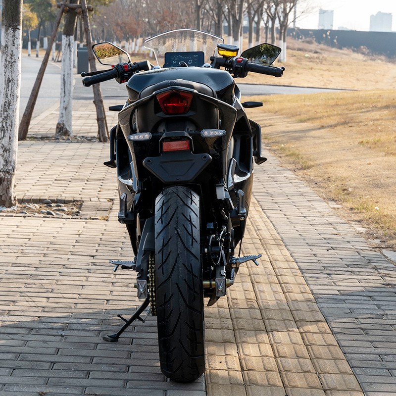 Cross-Border Export Dk200 Brand New Motorcycle Sports Car National Iv Efi Air-Cooled 6-Speed Single-Cylinder Racing Fuel Motorcycle