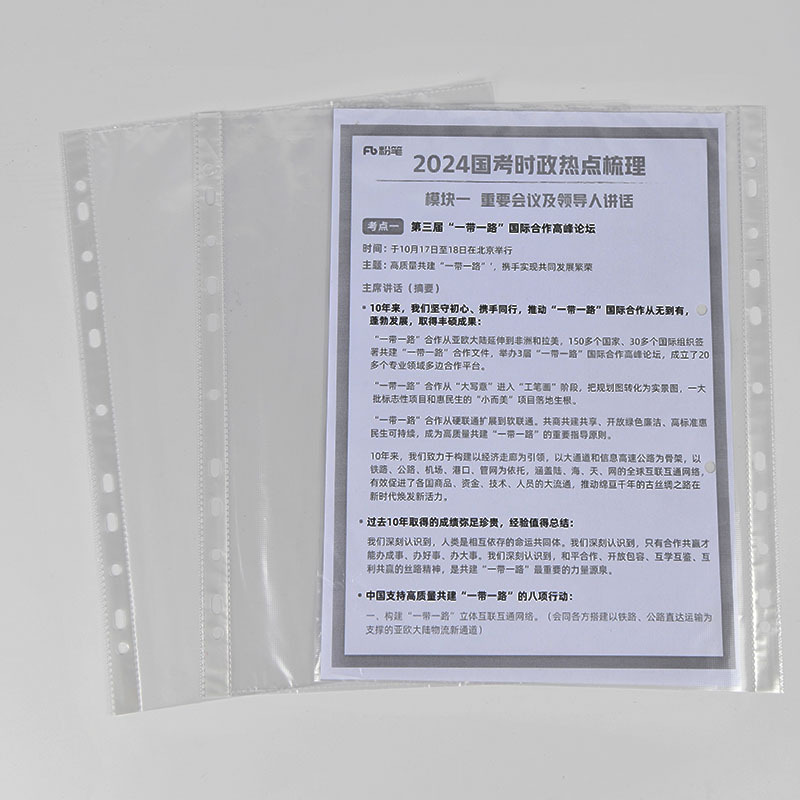 11-Hole File Bag Office Storage Insert Bag A4 Bag Punched Protective Bag Loose-Leaf Bag Custom Logo Wholesale Customization