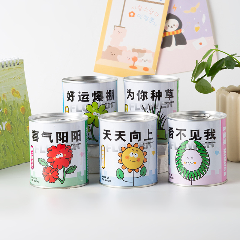 Online celebrity blessing potted green plant tomato seeds canned plant desktop creative children DIY gift factory wholesale