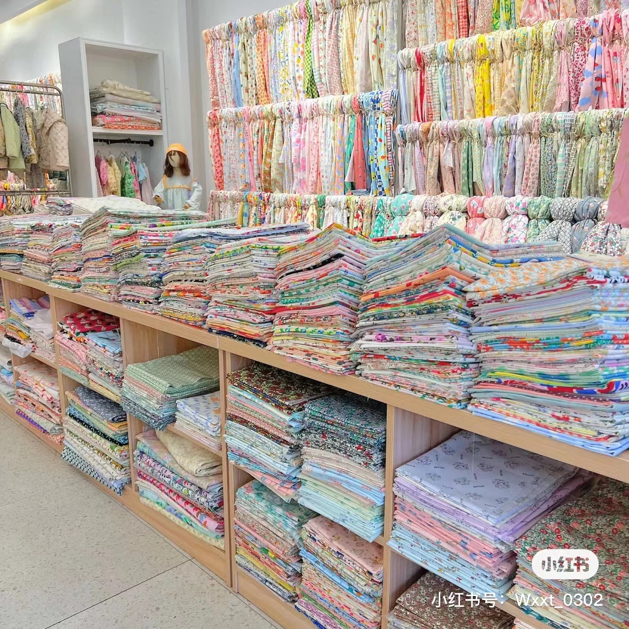 General link shot here