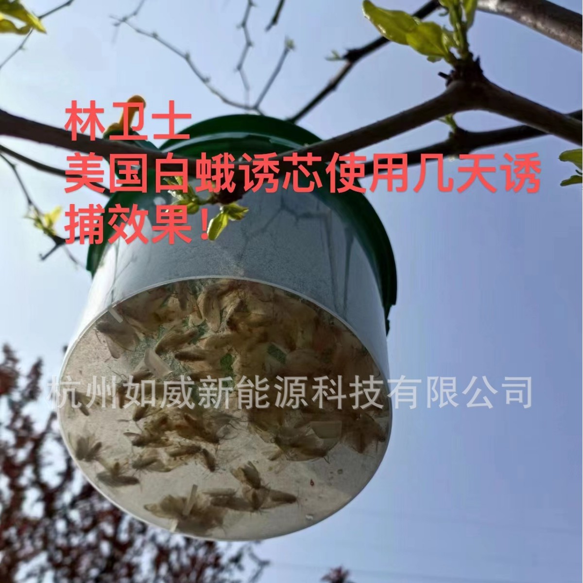 Lin Guardian Phl Lure Series American White Moth Lure American White Moth Attractant Trap