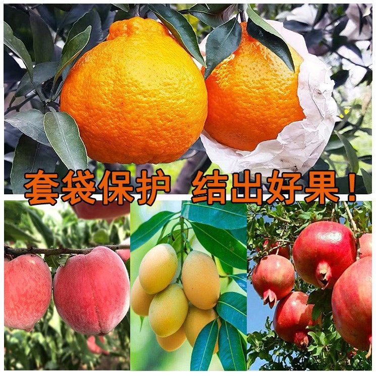 Manufacturer Wholesale Citrus Fruit Growing Bags, Large Quantity Fruit Paper Bags, Waterproof and Insect-Proof Orange Fruit Growing Bags, Discount Citrus Bags