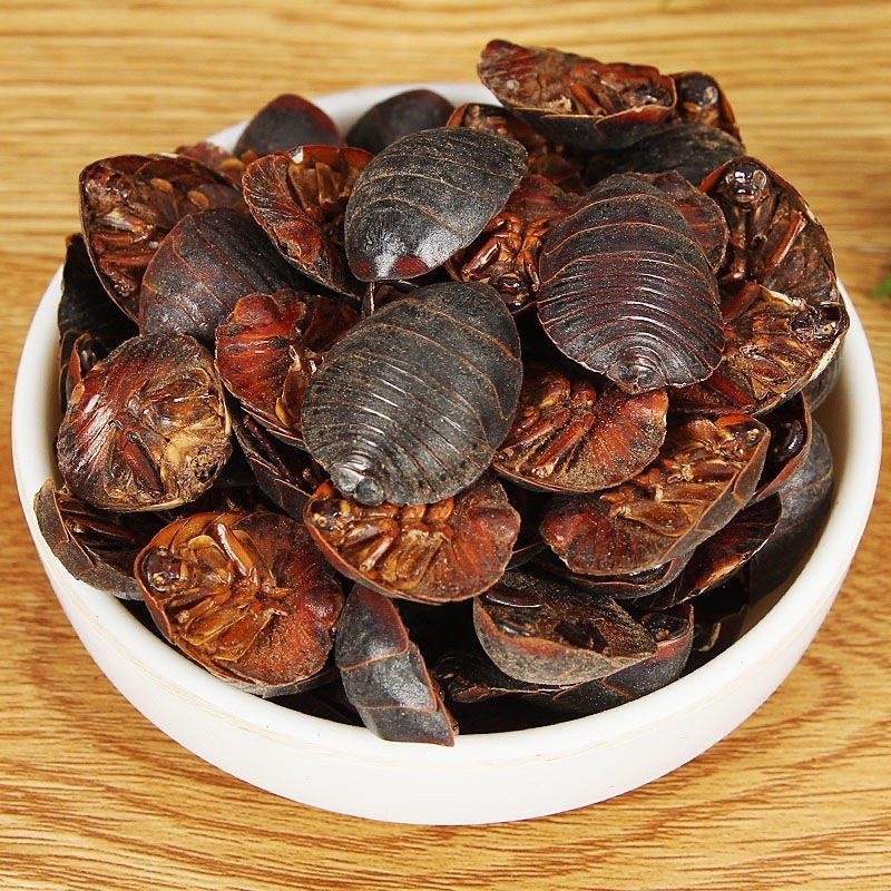 Chinese Wild Mountain Earthworm Dustpan Insect Can Be Powdered Earthworm Earthworm Earthworm Earthworm Good Product