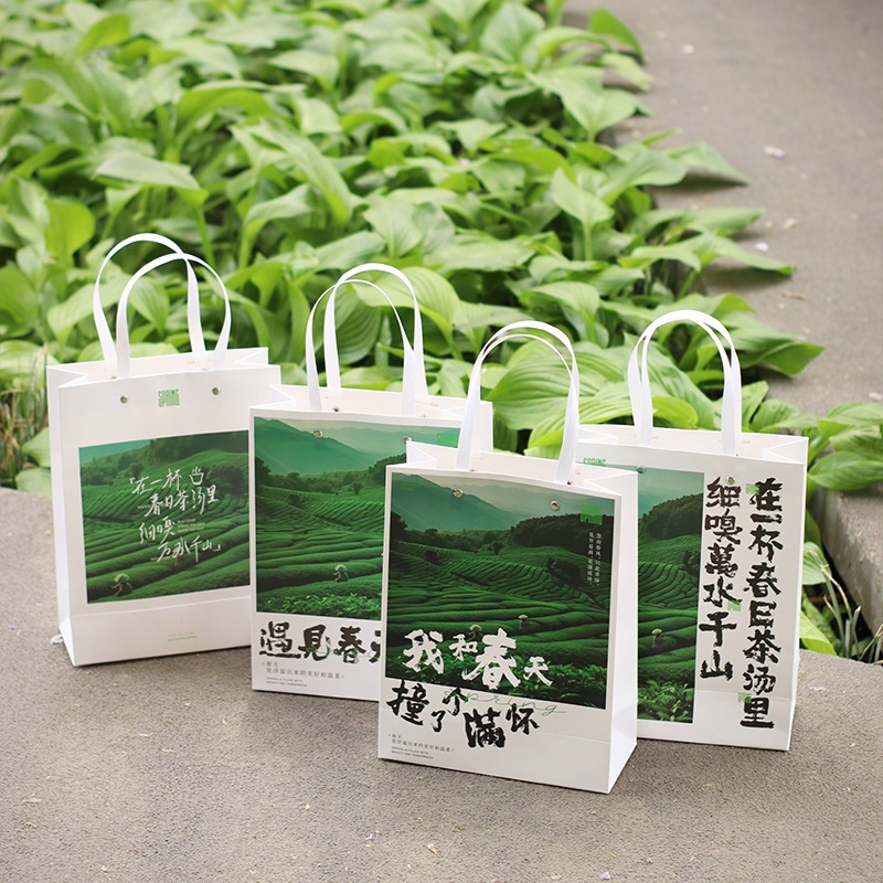 Spring Tea New Handbag Green Tea New Tea Packaging Bag Mingqian Longjing Biluochun Huangshan Maofeng Anji White Tea Gift