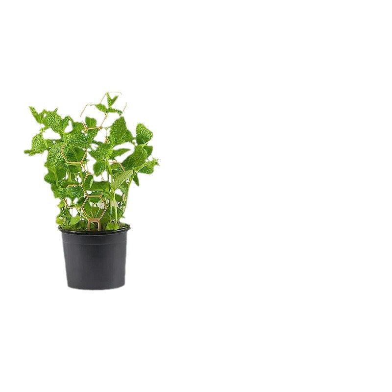 Betula Cedar gardening climbing frame plant bracket Mountain Turtle support Rod honeycomb iron frame creative plant fixing Rod