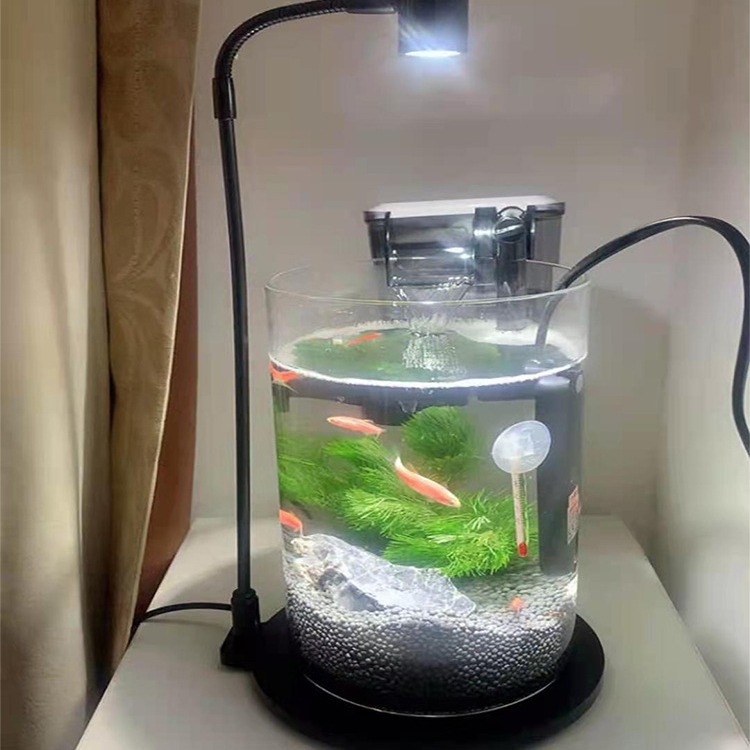 Round acrylic led micro landscape lamp Moss lamp plant lamp water plant lamp amphibious cylinder succulent fish tank lamp