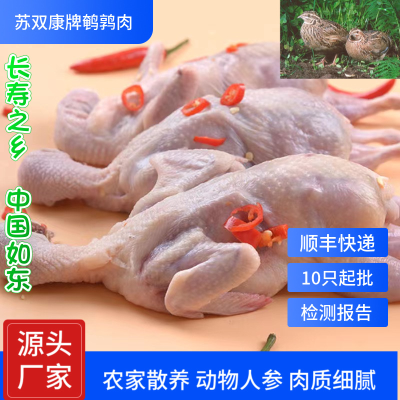 Su Shuangkang ® Chilled Extra Large White-Striped Quail Frozen Meat, Live Killing Quail, Bloodletting, Quick-Frozen Female Quail Meat