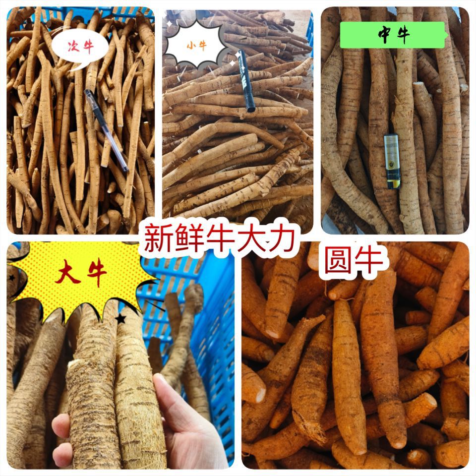 Свежая говядина выставочный стенд сушеная говядина