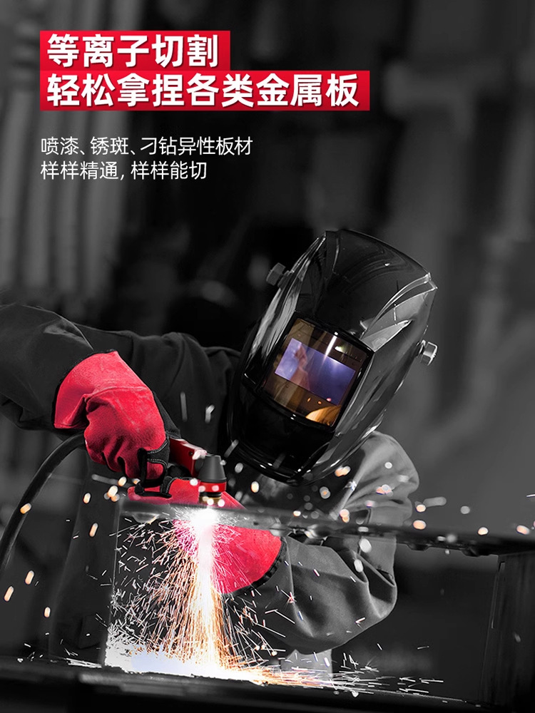 Delixi Plasma Cutting Machine All-In-One Industrial Built-In Air Pump Plasma Cutting and Welding All-In-One Machine