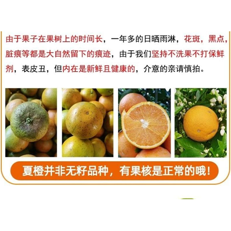 Hubei Summer Orange Origin Straight Hair Can Return Green Oranges Free Shipping Fresh Fruit Oranges Summer Orange Dropshipping