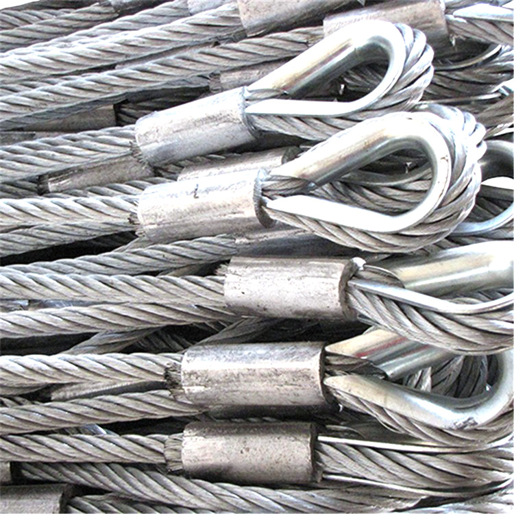 Black Coated Plastic-Coated Fitness Equipment Steel Wire Rope with Aluminum Sleeves, Stainless Steel Terminals, Dog Leash Lock, Clothesline