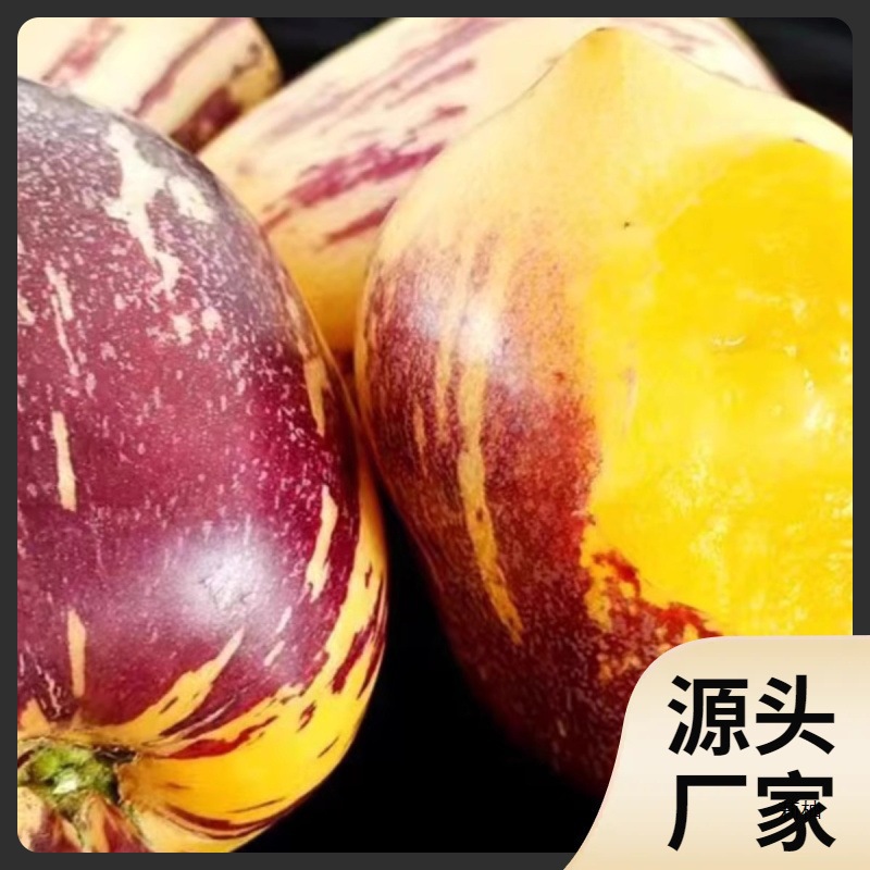 Fresh Whole Box of Gansu Ginseng Fruit with Free Shipping, Minqin Yellow-Fleshed Ginseng Fruit, Large Fruit, Long Fruit, Fruit