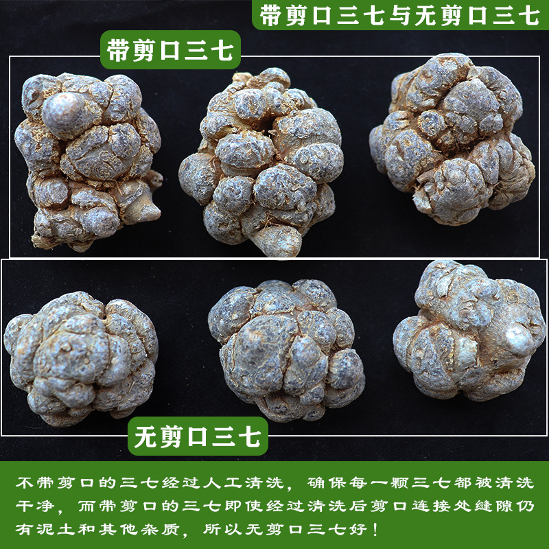 Panax Notoginseng 20 Heads 30 Heads 40 Heads Round Head Lion Head Yunnan Wenshan Chuntian Seven 500g Can Be Ground into Powder Free Shipping