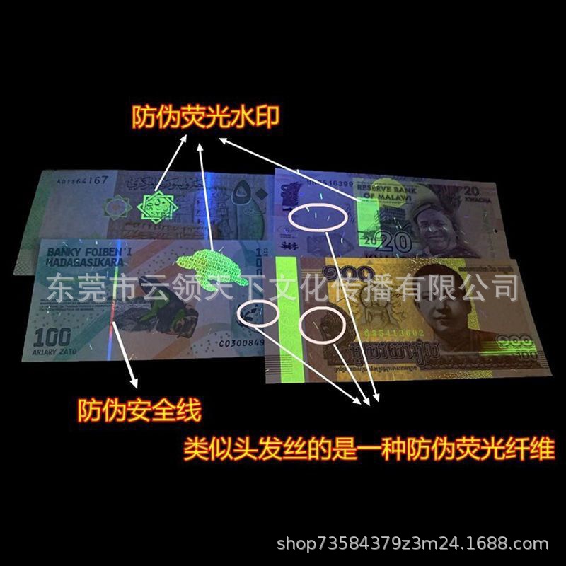 Brand New Non-Circulating 28 Countries 52 Foreign Coins Non-Duplicate Banknotes Banknotes of Various Countries with National Flag Standard Version