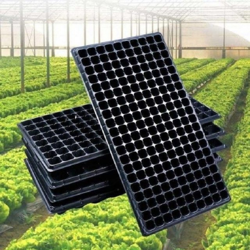 Лоток для рассады томатов и перца, лоток для рассады суккулентов, коробка для вставки листьев, лоток для овощной рассады, горшок для клубники