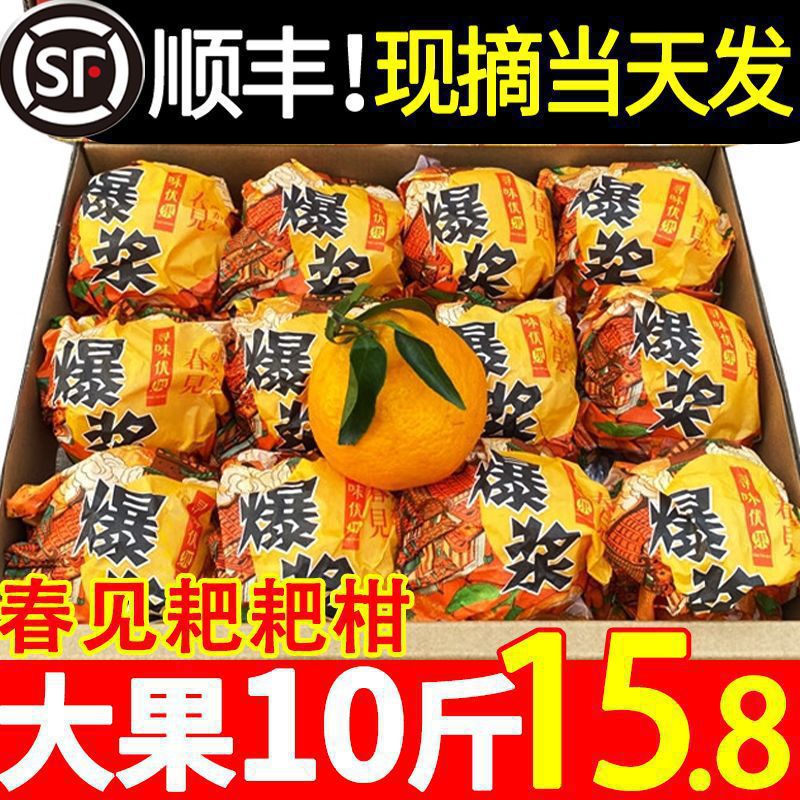 Sichuan Meishan Raking Mandarin Authentic Pujiang Chunjian Raking Mandarin Seasonal Fresh Fruit Non-Ugly Mandarin