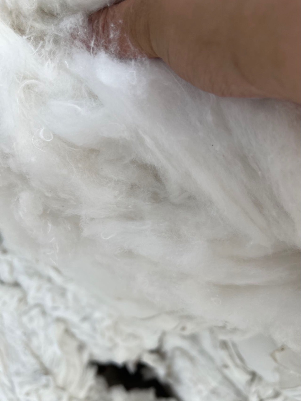 Cloth Cotton