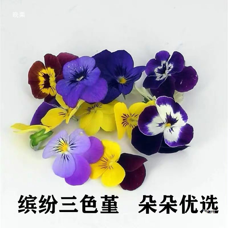 Fresh Pansy Edible Flowers, Hotel Western Food, Baked Drinks, Japanese Cold Dishes, Sashimi, Decorated with Plate Decorations