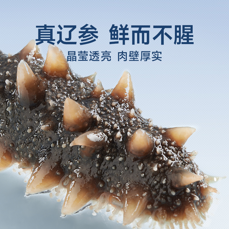 [National Standard 11 Times Soaked] Dalian Lightly Dried Sea Cucumber Dried Goods 9 Years Wild Liaoning Sea Cucumber Mid-Autumn Sea Cucumber Gift Box