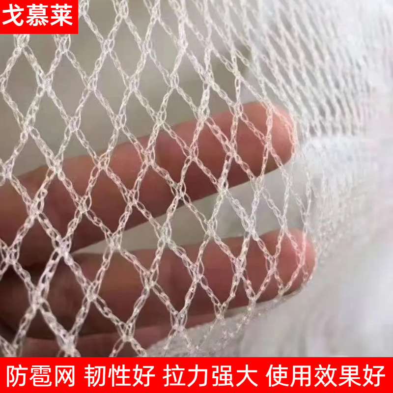 Anti-hail net anti-aging encryption crescent edge orchard anti-bird net apple grape white nylon greenhouse protective net