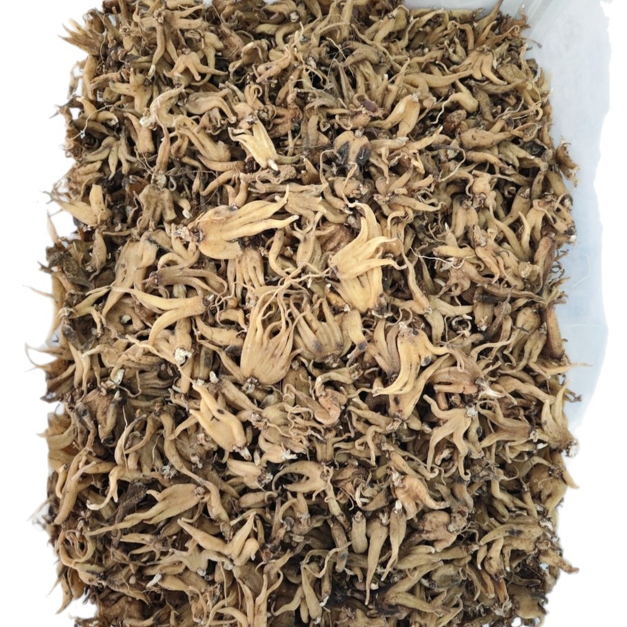 Xizang Linzhi Palm Ginseng, Sun-Dried Ginseng, Various Cold-Backed Ginseng
