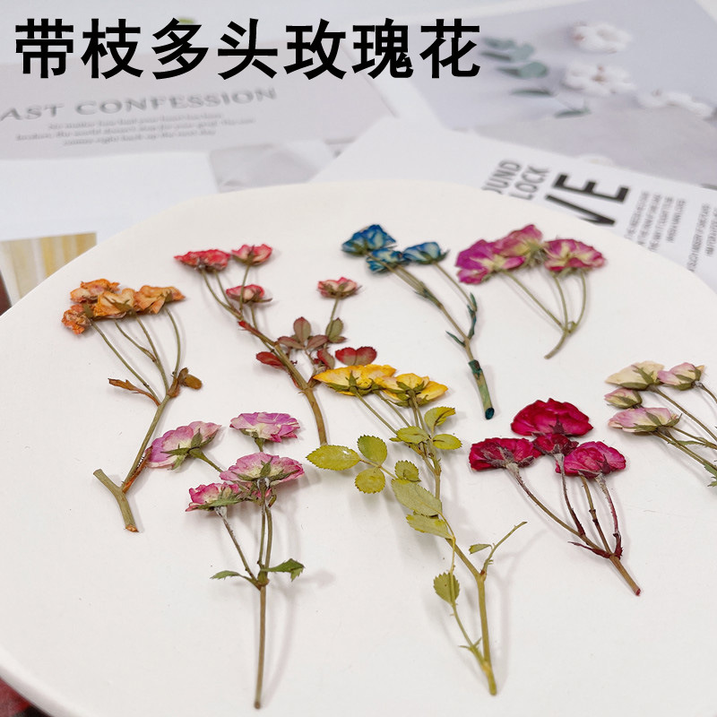 Multi-head Rose Dried Flower Embossed Drop of Glue Mobile Phone Case Candle Photo Frame Decoration Handmade Material Bag Plant Specimen