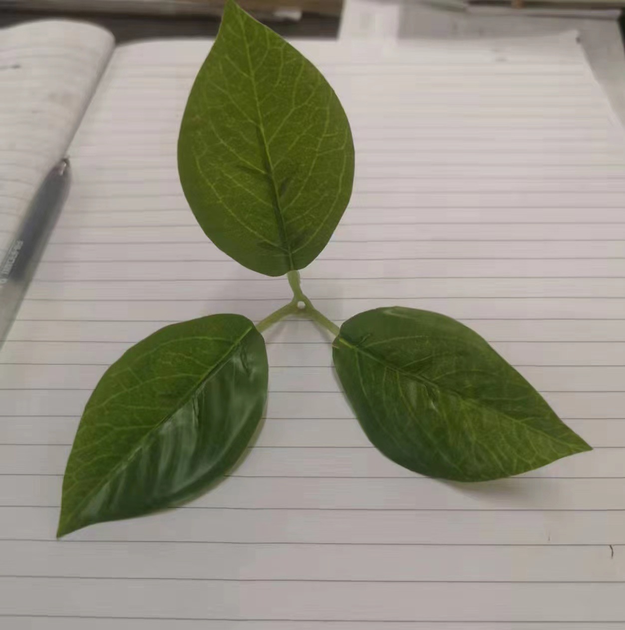 Cross-border simulation three-fork happiness leaf simulation green plant leaf holiday scene layout decoration simulation leaf accessories wholesale