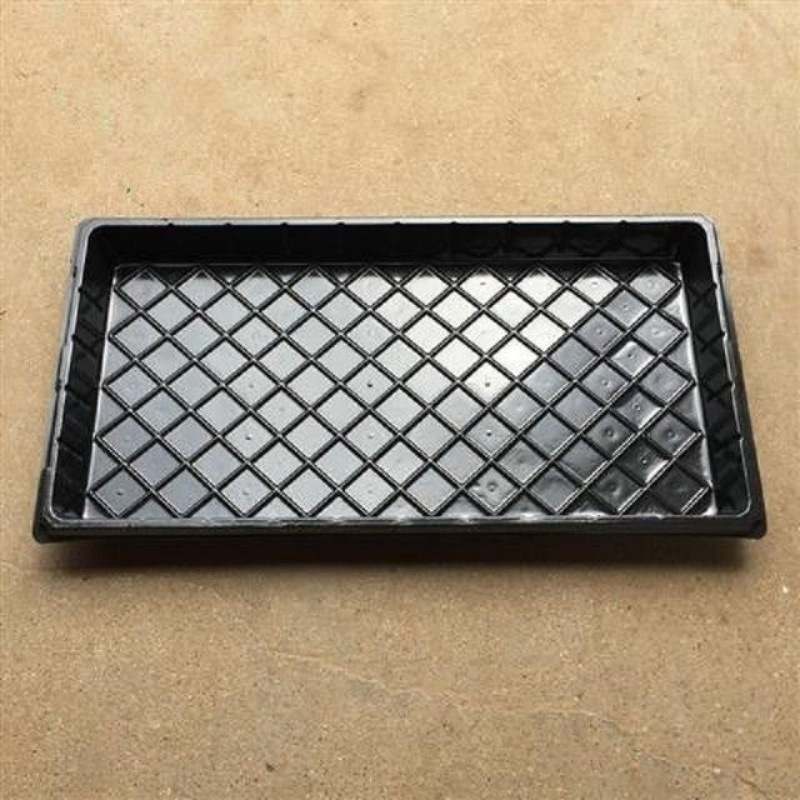 Seedling Tray Tomato Pepper Plug Tray Seedling Succulent Leaf Insert Box Vegetable Seedling Tray Strawberry Cultivation Pot