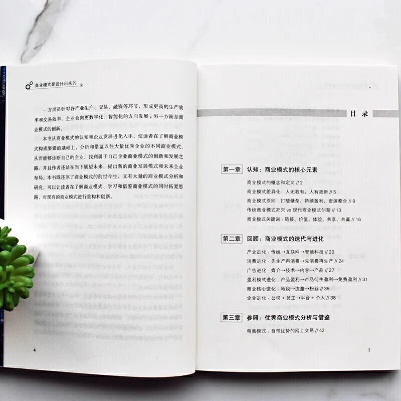 The business model is the effective construction and systematic operation experience of the designed Liu Zhixin top-layer model.