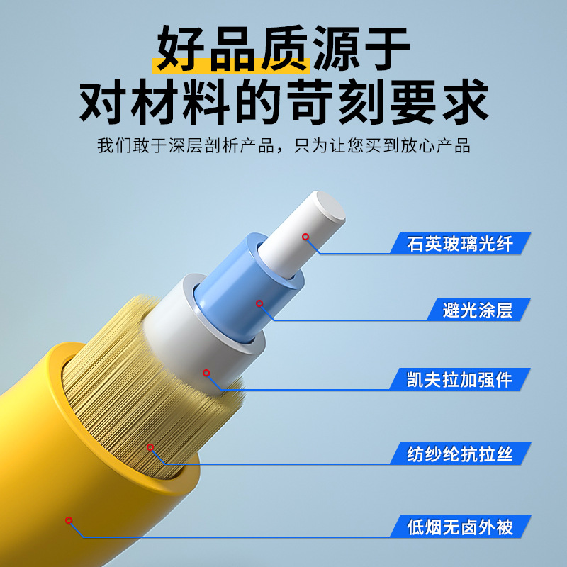 Class A single-mode single-core double-core fiber jumper 3 meters 5 meters 10 meters optical jumper pigtail jumper manufacturers wholesale