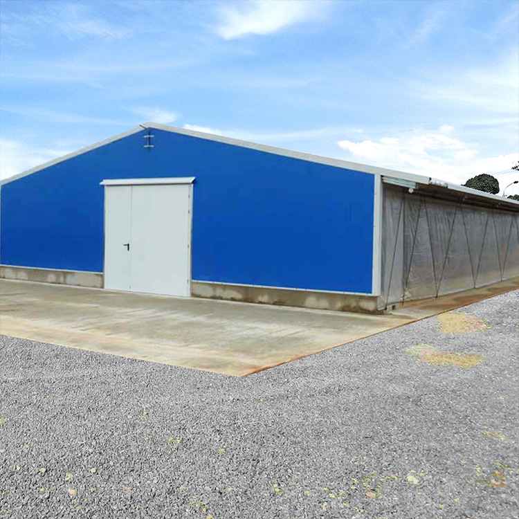 Light Steel Structure Enclosed Negative Pressure Ventilation Fully Automated Chicken Coop Exit