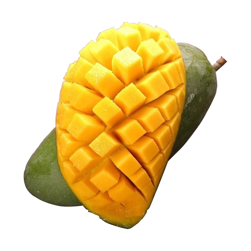Sichuan Panzhihua Kate Mango 1.5kg Seasonal Fresh Green Mango Sweet Glutinous Juicy Big Face Mango Fruit for Pregnant Women