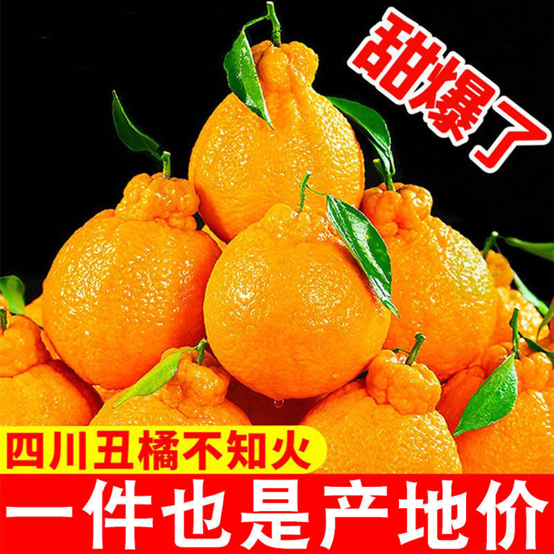 Ugly Orange Sichuan Navel Mandarin不知火 Fresh Fruit Orange Super Sweet Navel Mandarin Non-Wo Mandarin Wholesale