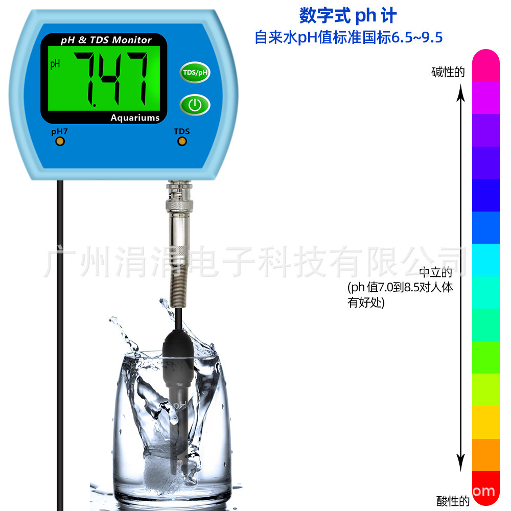PH-2 in 1 detector continuous monitoring aquarium swimming pool hot spring tester monitor pH meter Salinometer