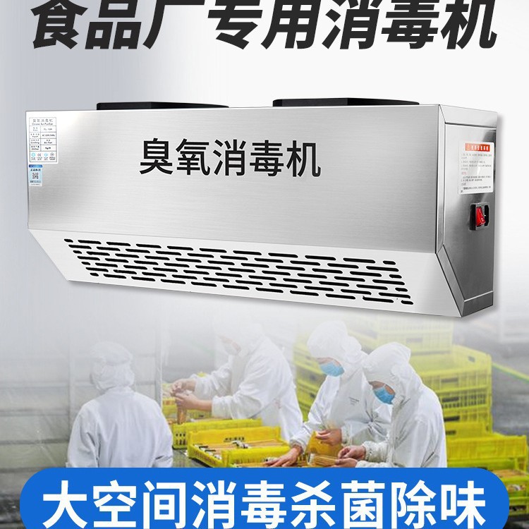 Wall-Mounted Intelligent Ozone Generator Disinfection Machine Garbage Room Deodorization Food Factory Sterilization Equipment Air Purifier