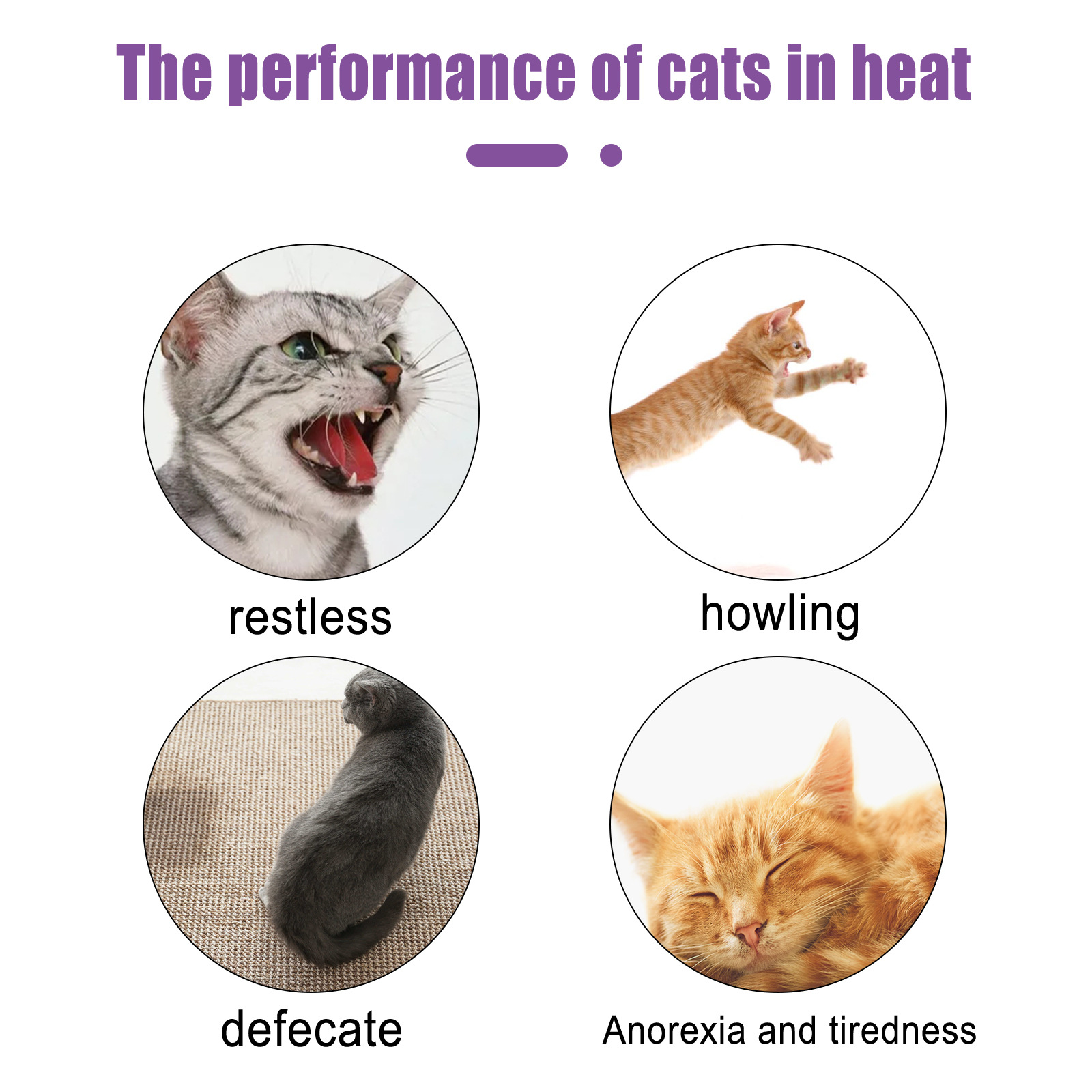 Yegbong Pet Anti-Estrus Liquid Special for Cats and Dogs to Improve Estrus Anxiety and Emotional Suppression Desire Conditioning Spray