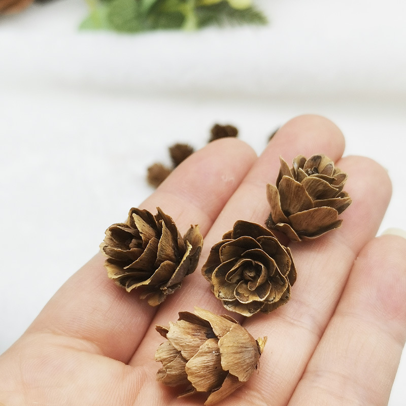 Мини сосновые цветы, мелкие опавшие листья, сосновые цветы, сосновые орехи, 1-2 см сосновые орехи, сырьё для DIY, рождественские украшения, оптовая продажа от производителя