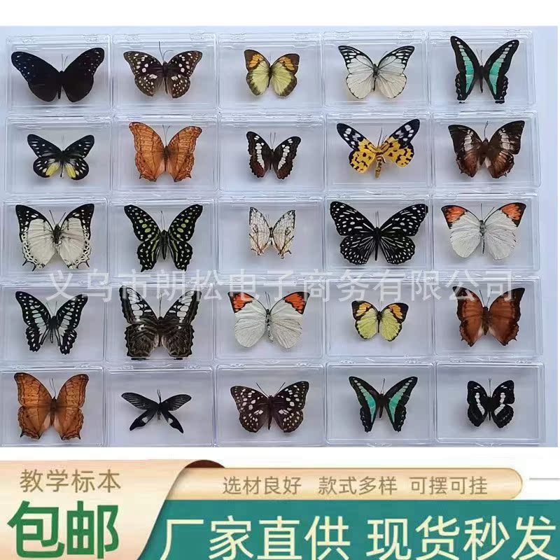 Прямые поставки настоящих образцов бабочек, бутик, прозрачные коробки, украшения, фотопродукты, учебные материалы для детей и студентов