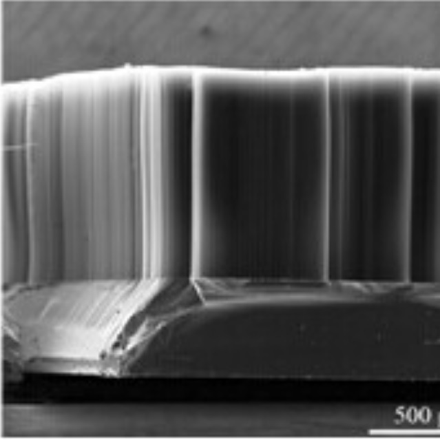 [Carbon Nanotube Array] growth of single-walled/small-walled carbon nanotubes by vertical array chemical vapor deposition
