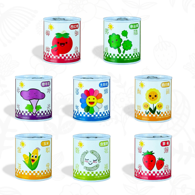 Customized Graduation Gift DIY Children's Potted Plants Blind Box Office Green Plants Potted Plants Mini Desktop Planting Potted