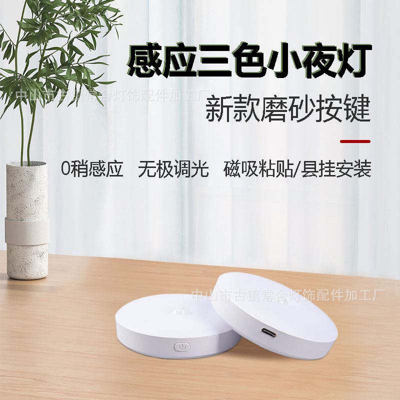 Индукционная лампа, включающаяся при движении, для входа, коридора, с магнитной зарядкой Type-C